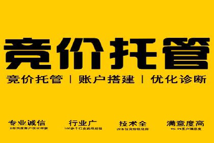 行业头部企业的网站sem托管经验分享